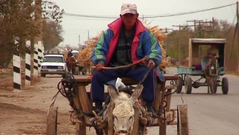 Un-Carro-De-Burro-Viaja-Por-Una-Carretera-En-Kazajstán-O-Uzbekistán