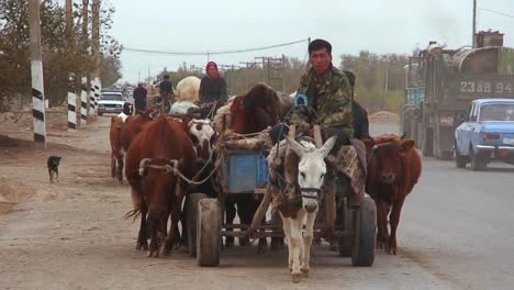 Ein-Ochsenkarren-Fährt-Auf-Einer-Straße-In-Kasachstan-Oder-Usbekistan