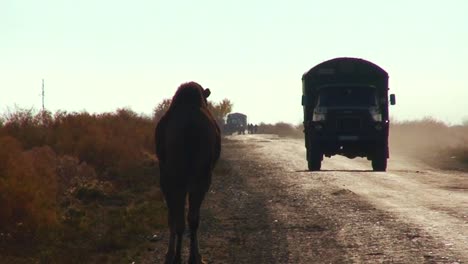 Un-Viejo-Camión-De-Carga-De-La-Era-Soviética-Pasa-Por-Una-Carretera-En-Muynaq-En-Kazajstán-O-Uzbekistán-Pasando-Camellos