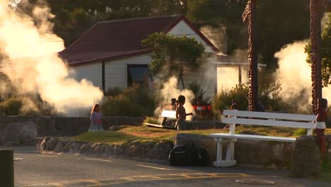 Smoke-rosies-from-around-homes-and-buildings-in-the-geothermal-area-of-Rotorua-new-Zealand