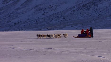 Ein-Eskimo-Hundeschlitten-Fährt-In-Der-Ferne-über-Die-Gefrorene-Tundra