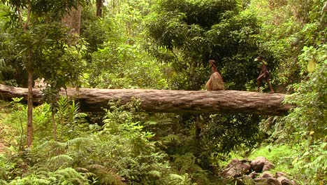 New-Guine-children-walk-across-a-log-over-a-river