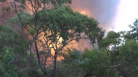 A-shot-from-a-moving-vehicle-of-a-massive-wildfire-burning-in-the-outback-of-Australia