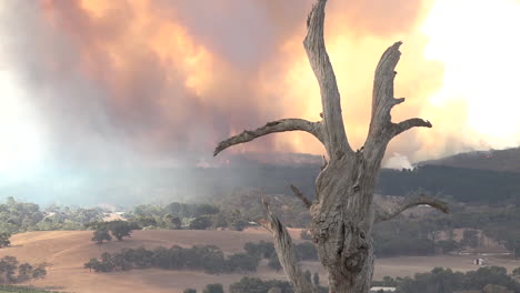 Un-Incendio-Forestal-Masivo-Ardiendo-En-El-Interior-De-Australia.