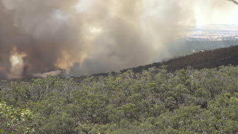 Brandschutz-Airdrop-Während-Eines-Massiven-Waldbrandes-In-Australien