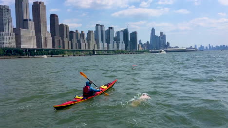 Ein-Schwimmer-Schwimmt-Den-Hudson-River-Mit-New-York-City-Im-Hintergrund-Hinauf-1