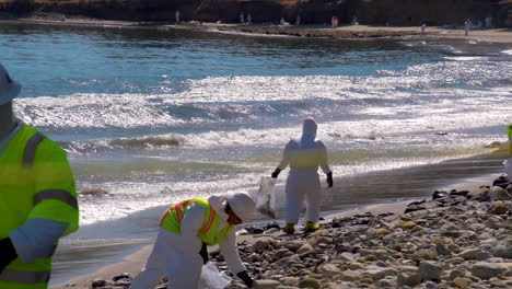 Workers-Clean-Up-After-The-Massive-Beach-Cleanup-Effort-Following-The-Refugio-Oil-Spill-In-Santa-Barbara-2