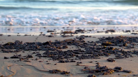 Teer-Und-Öl-Sammeln-Sich-Am-Strand-Nach-Den-Massiven-Aufräumarbeiten-Nach-Der-Ölpest-Im-Refugio