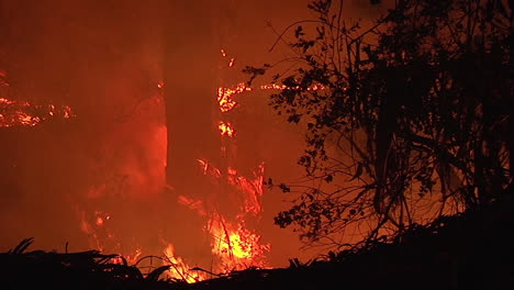 Ein-Feuer-Verbrennt-Einen-Baumstamm-In-Einem-Wald-Während-Des-Ferienfeuers-In-Goleta-Kalifornien