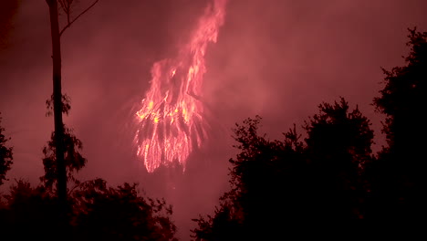 Eine-Palme-Geht-Nachts-Während-Des-Feiertagsfeuers-In-Goleta-Kalifornien-In-Flammen