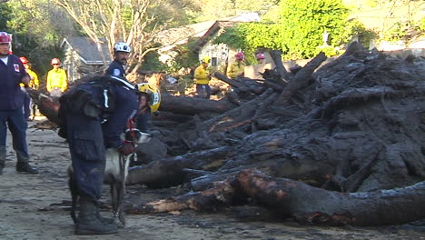 Such--Und-Rettungsmannschaft-Mit-Kadaverhund-Inspizieren-Schäden-Durch-Die-Schlammlawinen-In-Montecito,-Kalifornien-Nach-Der-Thomas-Feuerkatastrophe
