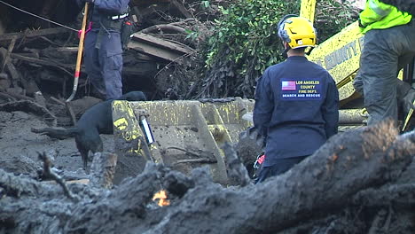 Equipo-De-Búsqueda-Y-Rescate-Con-Perro-Cadáver-Inspeccionar-Los-Daños-Causados-Por-Los-Deslizamientos-De-Tierra-En-Montecito-California-Tras-El-Desastre-De-Thomas-Fire-2