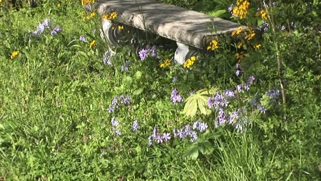 Picturesque-Footage-Displays-A-Stone-Bench-With-Curved-Legs-Dappled-By-The-Sun-And-Surrounded-By-Overgrown-Weeds-Wildflowers-And-Unmown-Grass
