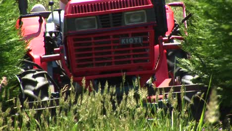 A-Senior-Drives-A-Lawnmower-Through-Some-Tall-Grass