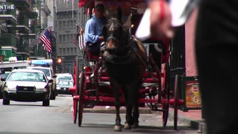 Un-Buggy-Tirado-Por-Muledrawn-Se-Abre-Paso-Por-Una-Calle-Concurrida-En-Nueva-Orleans