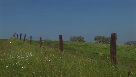 Mittlere-Aufnahme-Einer-Zaunlinie-Auf-Einer-üppigen-Weide-In-Kalifornien-Ca