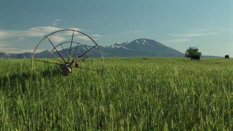 Medium-Shot-Of-Irrigation-Sprinklers-On-Utah-Farm-Land-In-Front-Of-The-La-Sal-Mountains