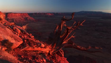 Mediumshot-Of-Canyonlands-National-Park-At-Sunset-With-The-La-Sal-Mountains-In-The-Distance