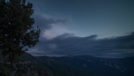 Sardinien-Baum-Sonnenuntergang-4k-02