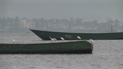 Jungen-Stehen-Vor-Fischerbooten-Im-Dorf-Gaba-Am-Ufer-Des-Lake-Victoria-Uganda-1