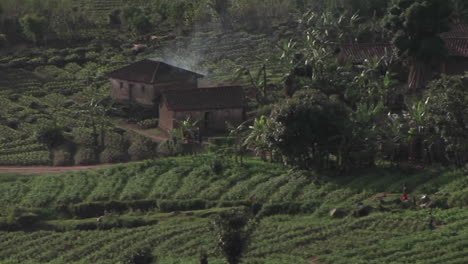 Landwirtschaftliche-Gebäude-Sitzen-Auf-Den-Feldern-Des-Ländlichen-Ruanda