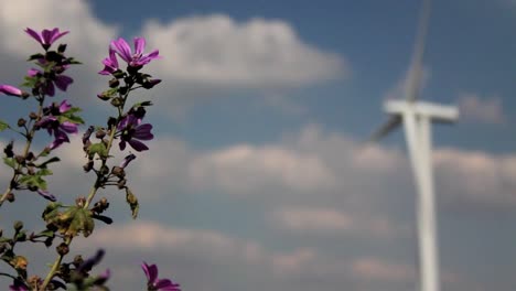 Windkraftanlage-Und-Blume