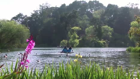 Bote-de-remos-en-el-lago