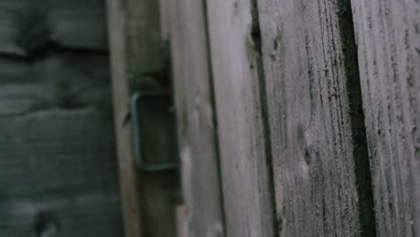 Rain-Drops-On-an-Old-Wooden-Gate