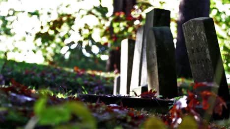 Friedhof-Stockvideo