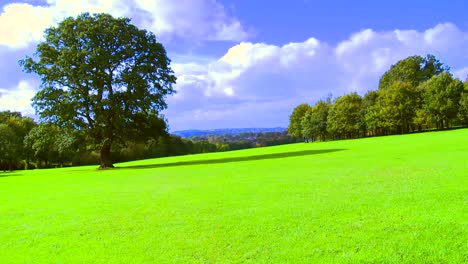 Green-Park-Time-Lapse-