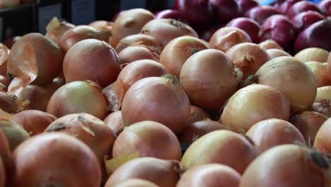 Food-Market---Onions