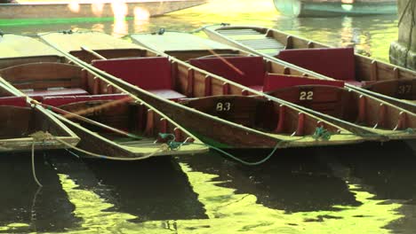 Punts-on-the-River