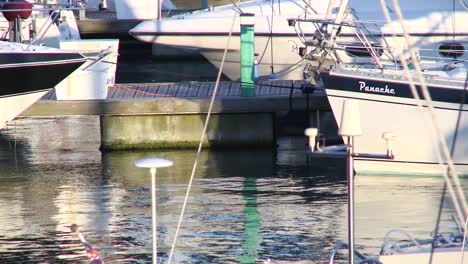 Yachts-in-Harbour