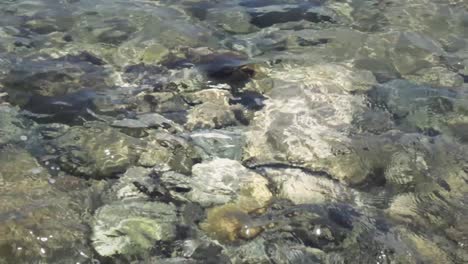 Water-Shimmering-Over-Pebbles