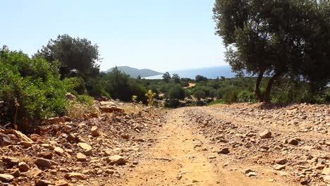 Dirt-Track-in-Turkey