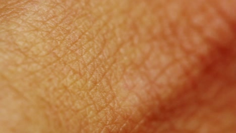 Human-Skin-Close-Up