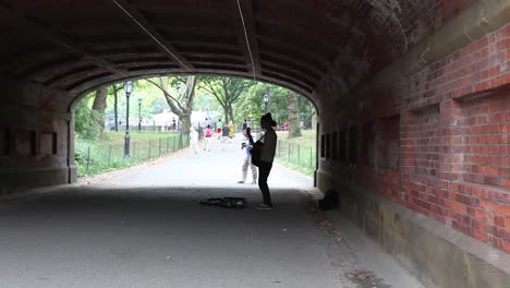 Straßenmusik-Unter-Brücke