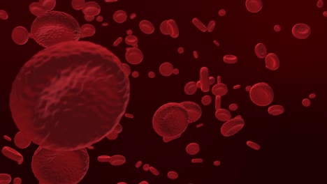 Red-Blood-Cells