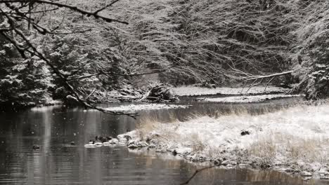 Beautiful-Snow-Scene