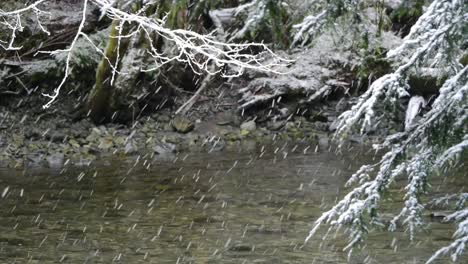 Fallender-Schnee-Und-Ast