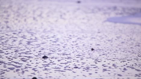 Waves-Over-Sand-at-Dusk