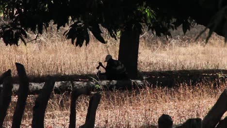 Hombre-cortando-madera-CC-BY-NatureClip