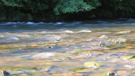 Stream-Time-Lapse-CC-By-NatureClip