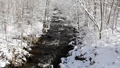 Winter-Stream-Cc-von-Natureclip