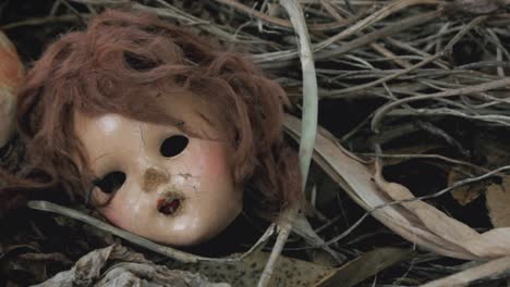 Decomposing-Doll