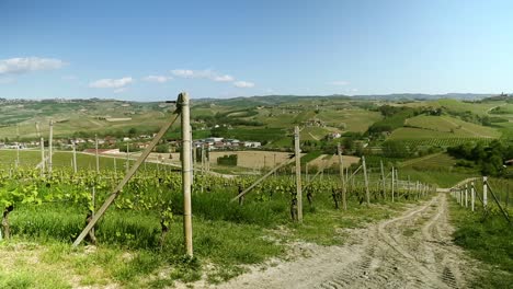 Vineyards-Static-Shot-1-