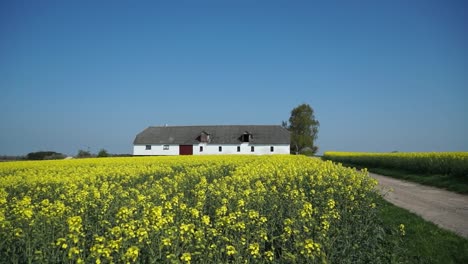 Granero-en-campo-de-mostaza