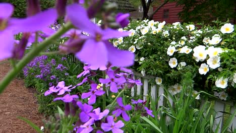 Colorful-Summer-Flor-Garden