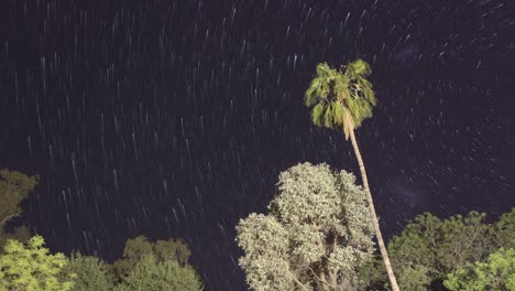 Star-Trails-