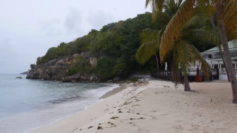 Karibischer-Strand-Und-Bewaldete-Hänge